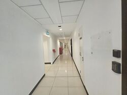 Zervex (D14), Factory #623525761